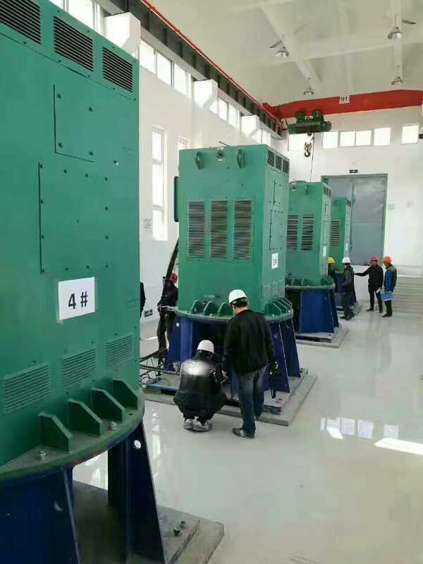 昌图某污水处理厂使用我厂的立式高压电机安装现场