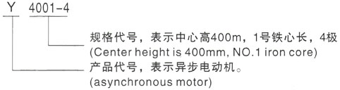 西安泰富西玛Y系列(H355-1000)高压昌图三相异步电机型号说明